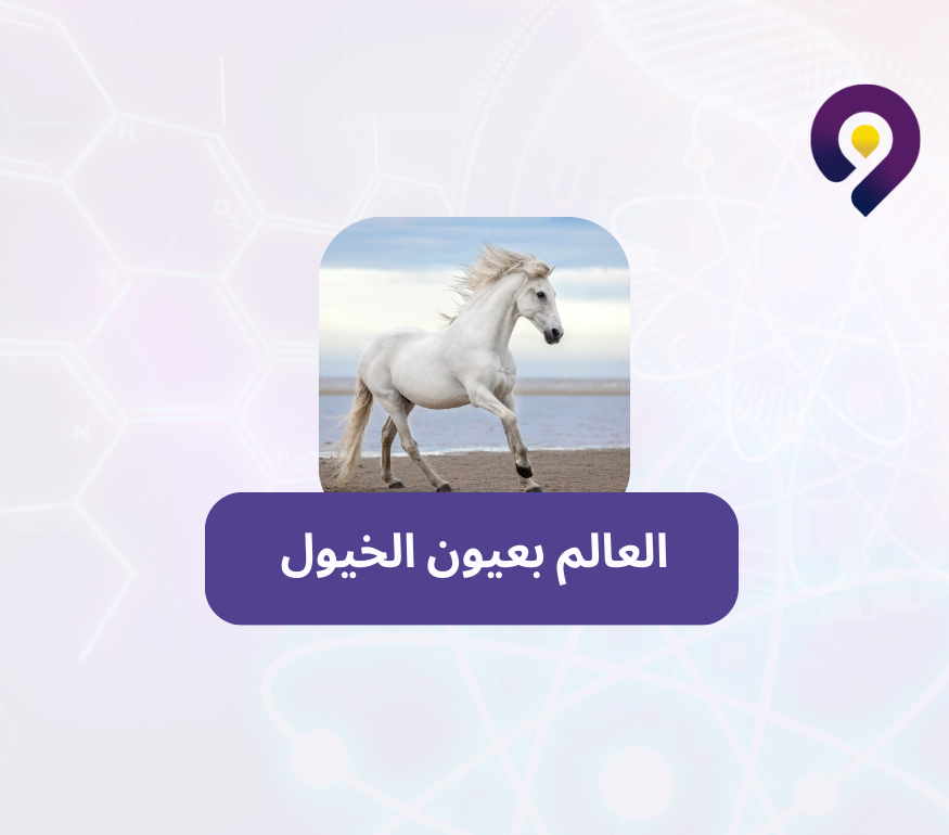 لا ترى الخيول العالم كما نراه